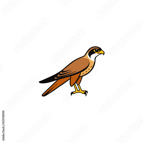 realistic wild falcon hunting on white background .svg