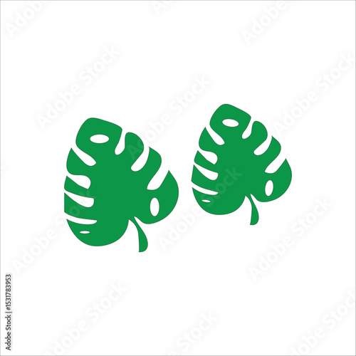 monstera leaf vector illustration of tropical leaf ornamental plant that can be an aesthetic interior decoration