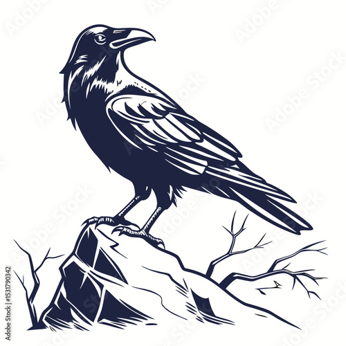 Black crow vector illustration of a wild bird flying with spread wings