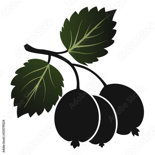 Vector illustration of fresh ripe plums with leaves on a branch
