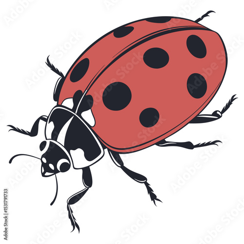 Red ladybug insect beetle animal vector illustration on white background