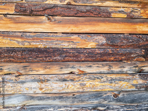 Textura de troncos rústicos con corteza agrietada