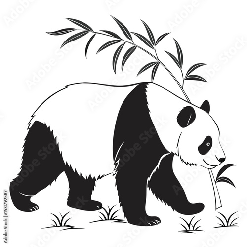 Cute giant panda bear mammal with bamboo, a wildlife animal illustration