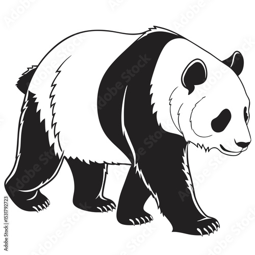 A charming vector illustration of a panda bear, perfect for designs featuring cute wild animals