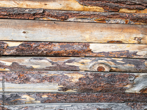 Textura de troncos rústicos con corteza agrietada