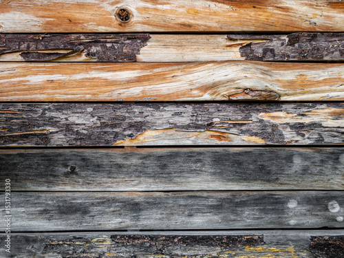 Textura de troncos rústicos con corteza agrietada