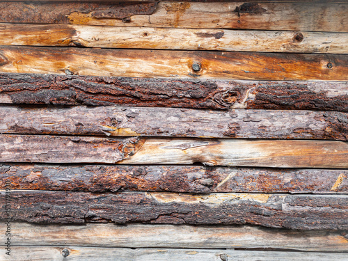 Textura de troncos rústicos con corteza agrietada