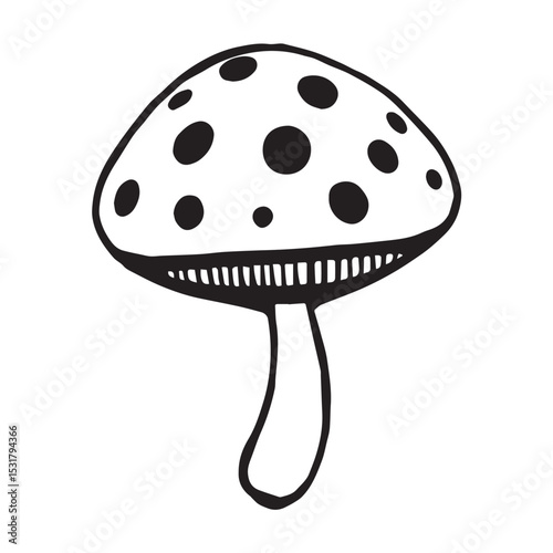 Hand drawn black and white spotted mushroom illustration