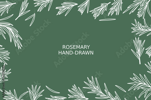 Hand-drawn rosemary natural and Healthy Herbs Illustration. Collection of rosemary plants with flowers isolated on white background. Fragrant herb hand drawn in retro style. View from different angles