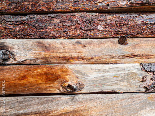 Textura de troncos rústicos con corteza agrietada