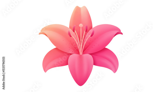 pink lily isolated on white