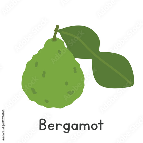 Bergamot flat vector illustration. Green bergamot or Citrus bergamia cartoon clipart style isolated on white background. Citrus fruit concept