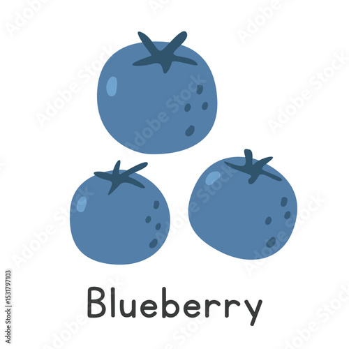 Blueberry flat vector illustration. Blueberries cartoon clipart style. Also known as bilberry, European blueberry, blaeberry, whortleberry, wimberry, huckleberry. Common fruit and Berry concept