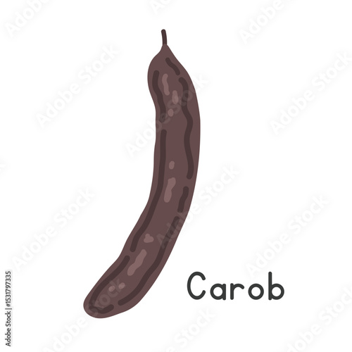Carob flat vector illustration. Black carob fruit cartoon clipart style isolated on white. Also known as Ceratonia siliqua, locust bean, or St. John's bread. Pods and Legume-like fruit concept