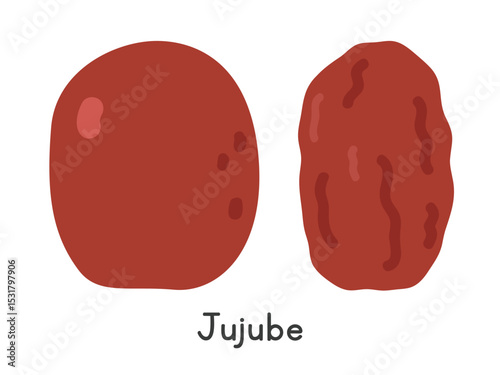 Jujube flat vector illustration. Fresh and dried jujube fruit in cartoon clipart style. Also known as Chinese date or red date. Isolated on white background. Asian fruit concept.