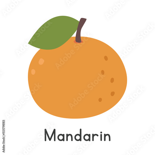 Mandarin flat vector illustration. Mandarin orange cartoon clipart style isolated on white background. Also known as Citrus reticulata. Common fruit and Citrus fruit concept