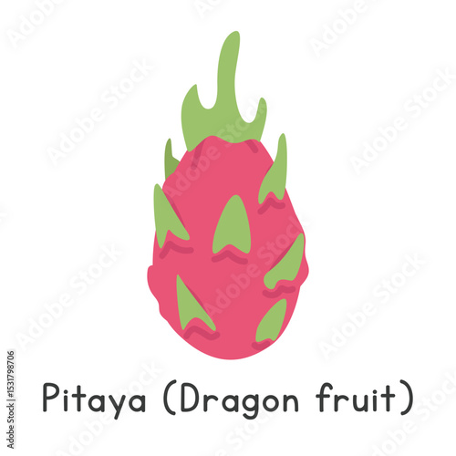 Dragon fruit flat vector illustration. Dragon fruit or pitaya cartoon clipart style. Also known as pitahaya, strawberry pear, or Selenicereus undatus. Tropical and Exotic fruit concept