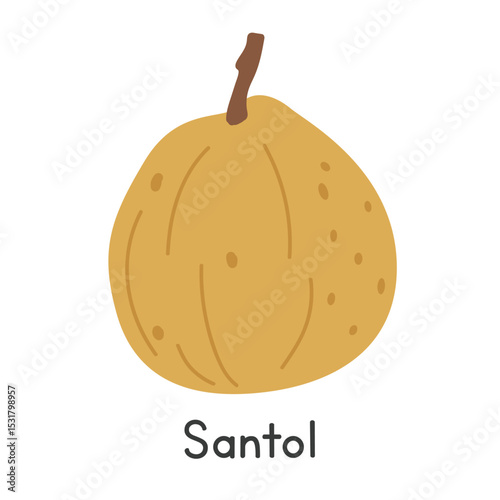 Santol flat vector illustration. Santol cartoon clipart style isolated on white background. Tropical and Exotic fruit concept