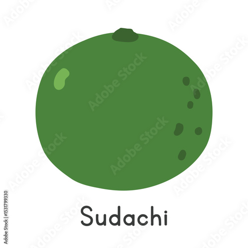 Sudachi flat vector illustration. Green sudachi cartoon clipart style isolated on white background. Citrus fruit concept
