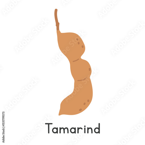 Tamarind flat vector illustration. Tamarind cartoon clipart style isolated on white background. Pods and Legume-like fruit concept