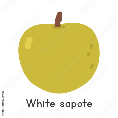 White sapote flat vector illustration. White sapote cartoon clipart style isolated on white background. Unusual and Lesser-Known Fruit concept