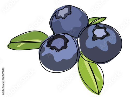 A blueberry fruit is depicted in a continuous line drawing on a white background.