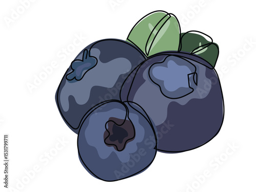 A blueberry fruit is depicted in a continuous line drawing on a white background.