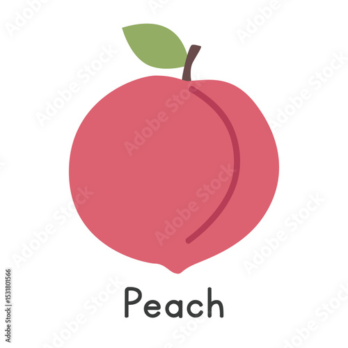 Peach flat vector illustration. Peach cartoon clipart style isolated on white background. Common fruit and Stone fruit concept