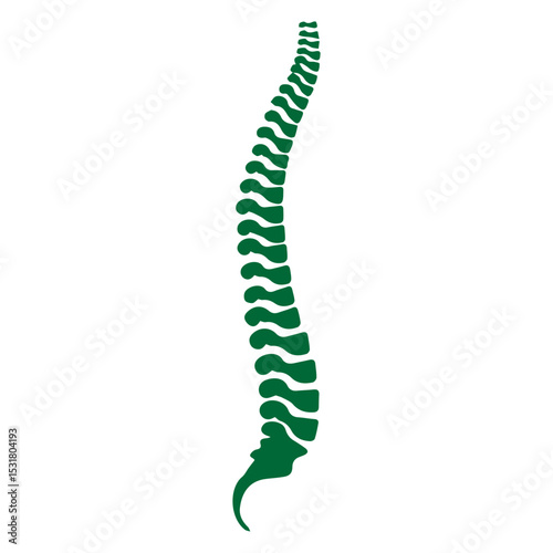 spine icon
