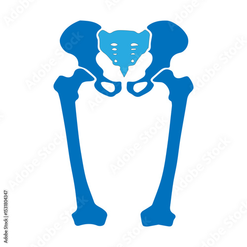 pelfis and femur icon