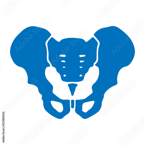 Pelvis icon