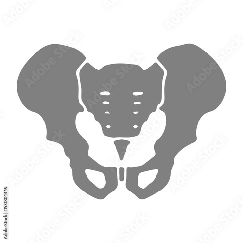 Pelvis icon