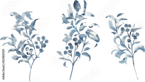 水彩画。水彩タッチのモノクロのベクターイラスト。モノクロの植物画。夏の植物フレーム。Watercolor painting. Black and white vector illustration with watercolor touch. Black and white botanical drawing. Summer plant frame.