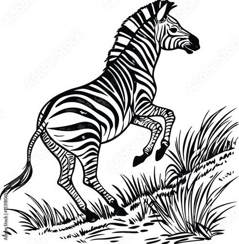 "Dynamic Zebra Wild Animal Illustration with Action Stripes"