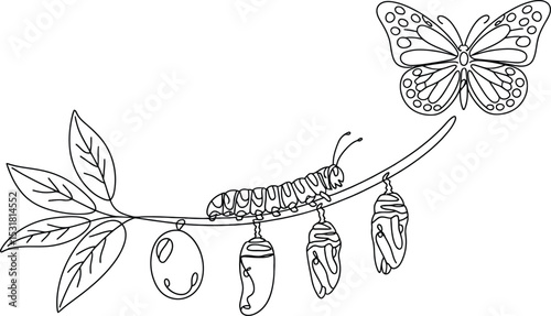 hand drawn butterfly Continuous one line drawing