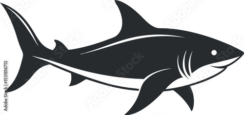 shark isolated on white
