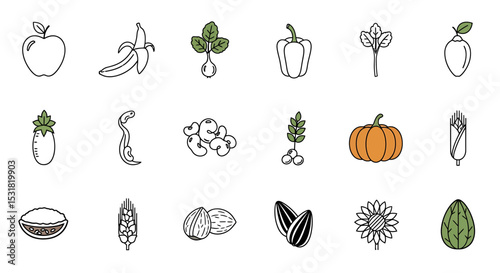 Vector Icons Set of Diverse outline collection of fruits vegetables grains nuts and seeds with minimalist color accents. Vector Illustrations