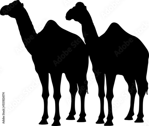 Handdrawn camel silhouette