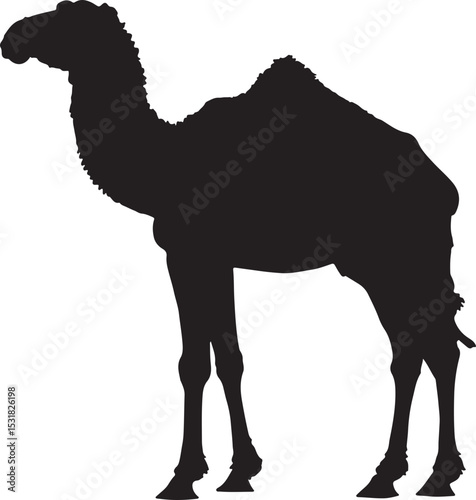 Camel silhouette illustration 