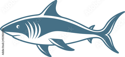 shark isolated on white background