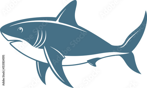 shark vector illustration