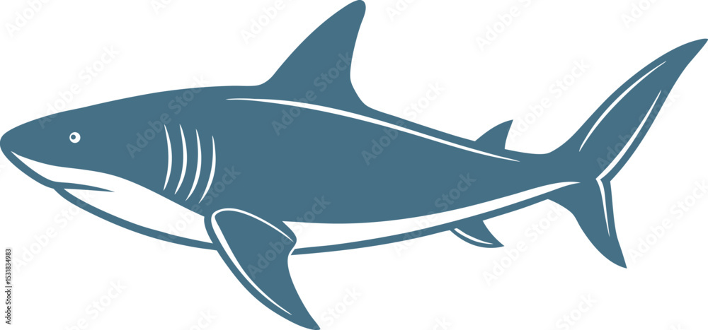 Fototapeta premium shark isolated on white