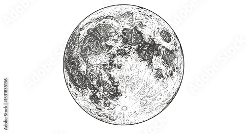 Detailed full moon illustration showcasing lunar surface features, craters, and textures for educational purposes and space exploration imagery