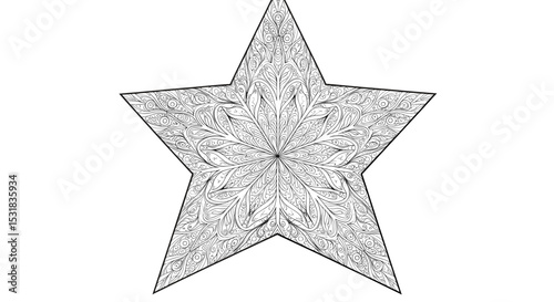 Intricate star shaped mandala illustration with floral and paisley patterns for relaxation and coloring activities, detailed design