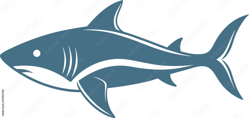 Obraz premium great white shark