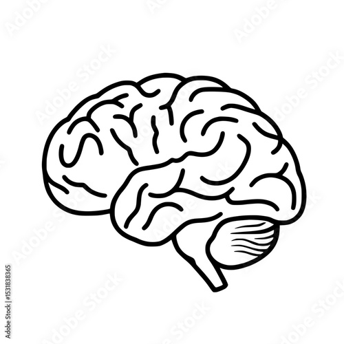 human brain vector illustration