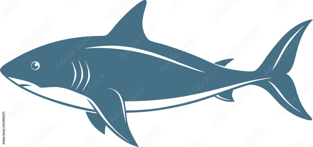 Fototapeta premium great white shark