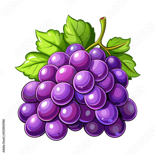 Illustration of fresh grapes grape fruit grape vine grape bunch grape leaves grape drawing grape art