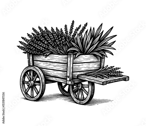 Engraved Woodcut Illustration of a Wagon Cart with Plants and Flowers