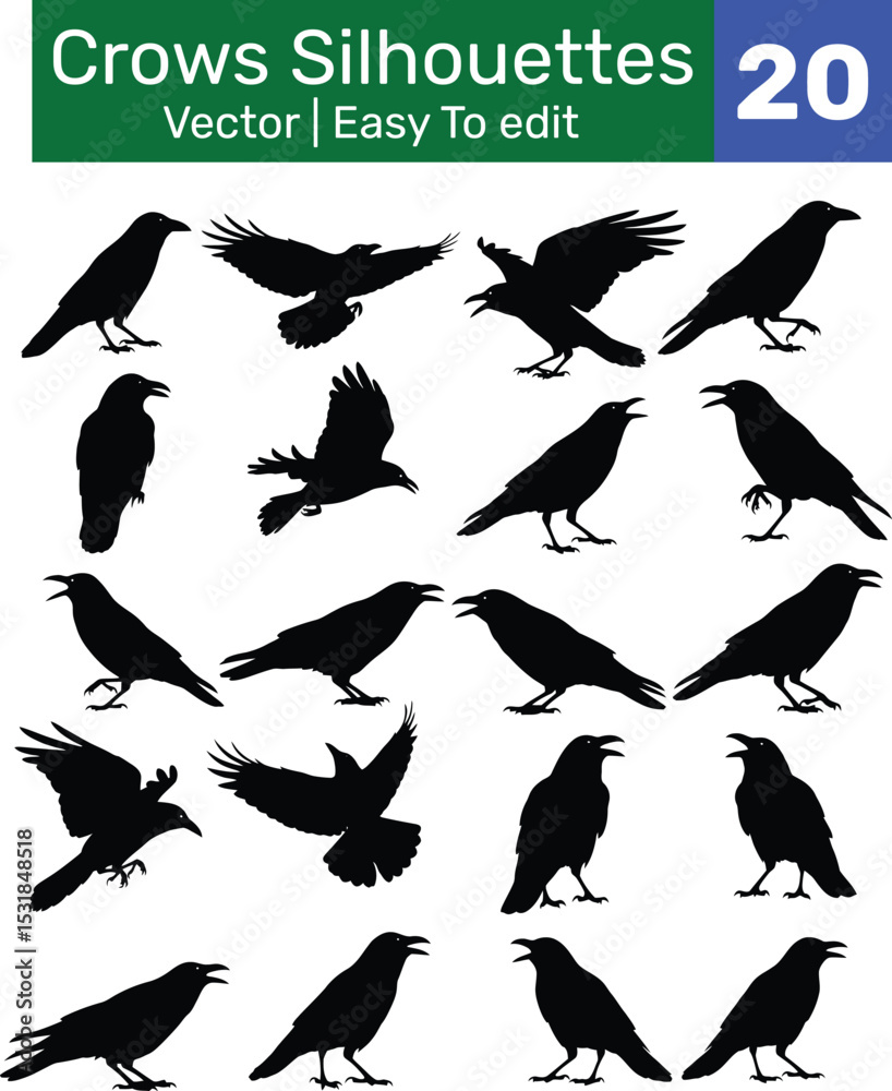 Obraz premium Silhouette Vector Illustration of Diverse Crow and Raven Poses in a Grid Layout